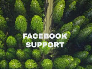 facebook support chat number